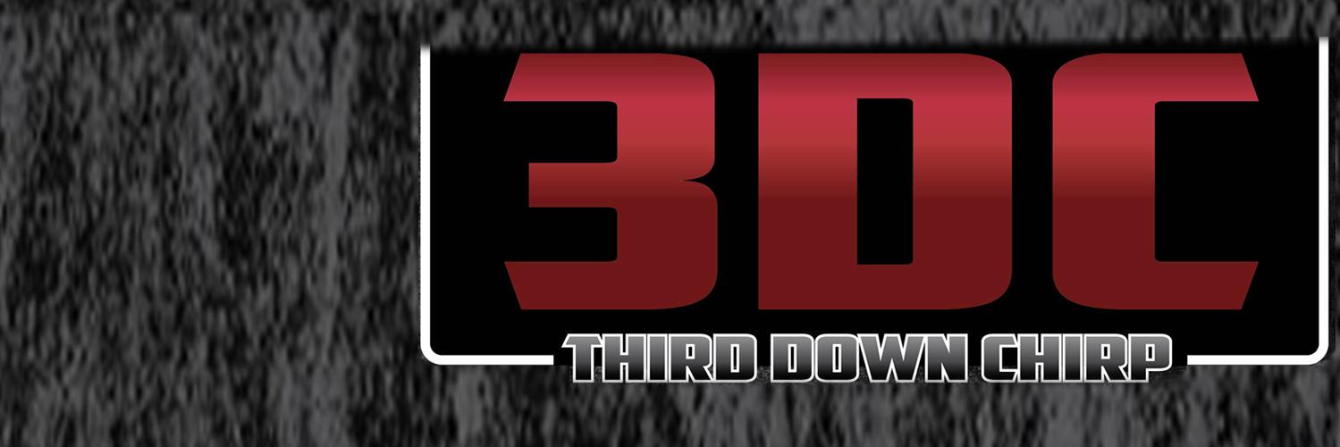 3rdDownChirp's profile banner image