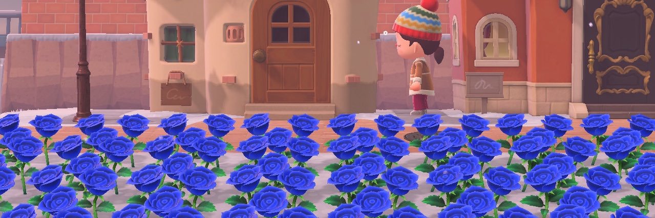 Takobue3_'s profile banner image