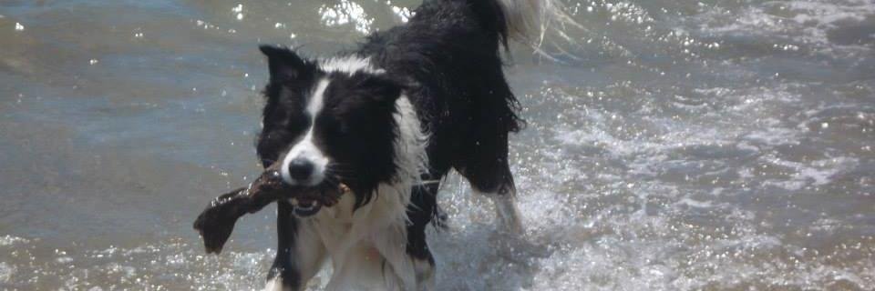 JimmyPamment's profile banner image