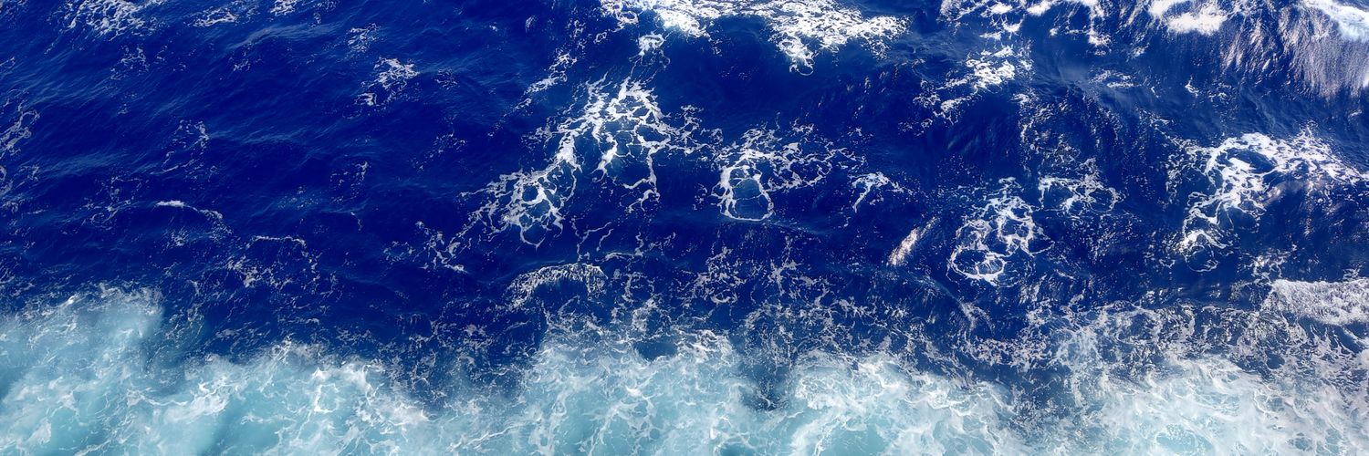 MermaidBrandie's profile banner image