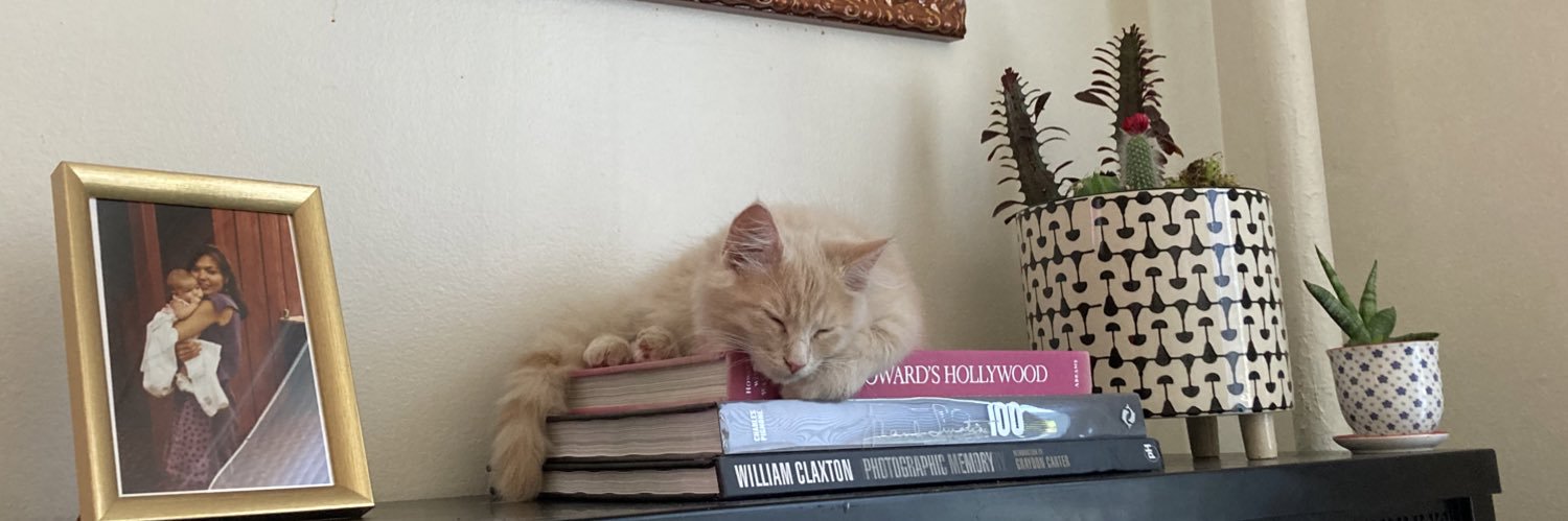 kittycatklein's profile banner image