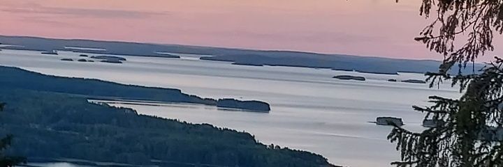 riinev's profile banner image