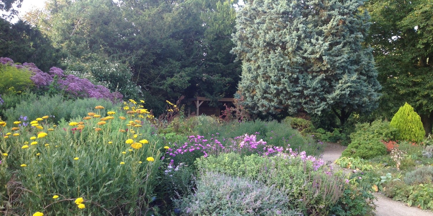 Simon Buchanan banner