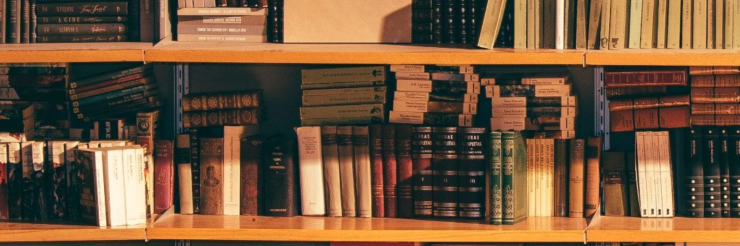 Crystal🦋 ✨️ banner