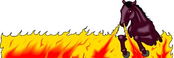 Etourdit's profile banner image