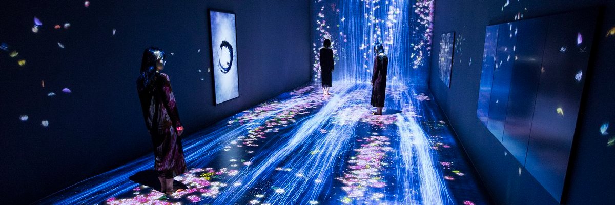 Catherine Augustino 🟧(✸,✸) banner