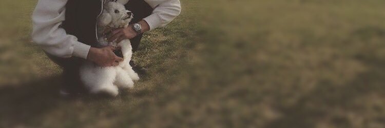 kai__b__'s profile banner image