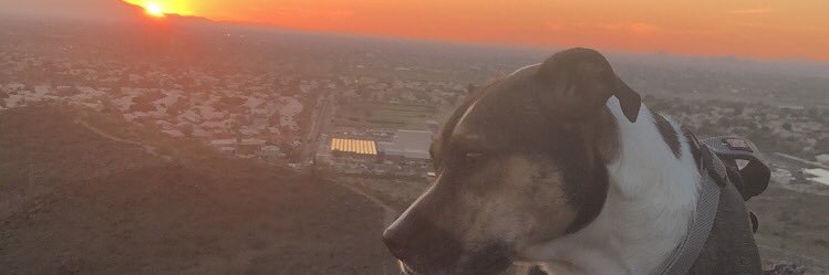 jbeasthood7's profile banner image