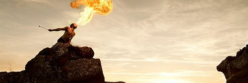 danijelar's profile banner image