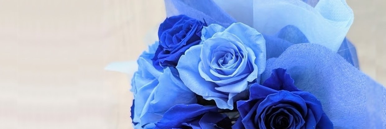lpgtldes335's profile banner image