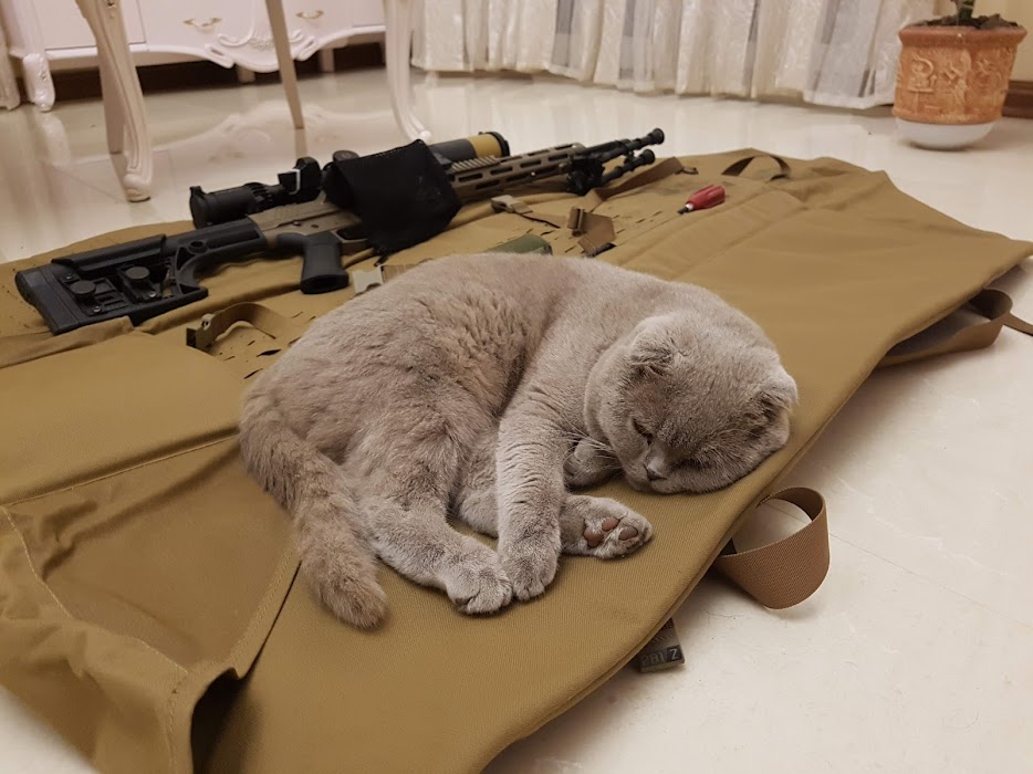 iskromer's profile banner image