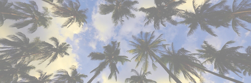 Ellie806ems's profile banner image