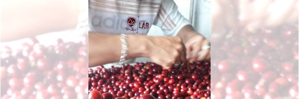 CafeVillaLaura's profile banner image