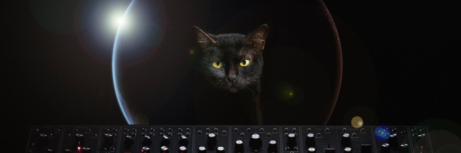 cats synths space banner