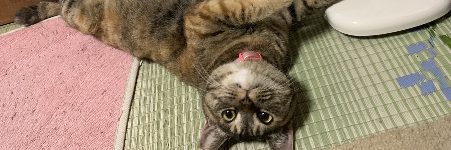 blaekcat201's profile banner image