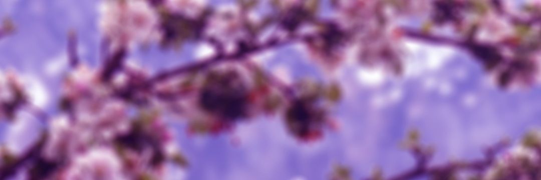_beolh's profile banner image