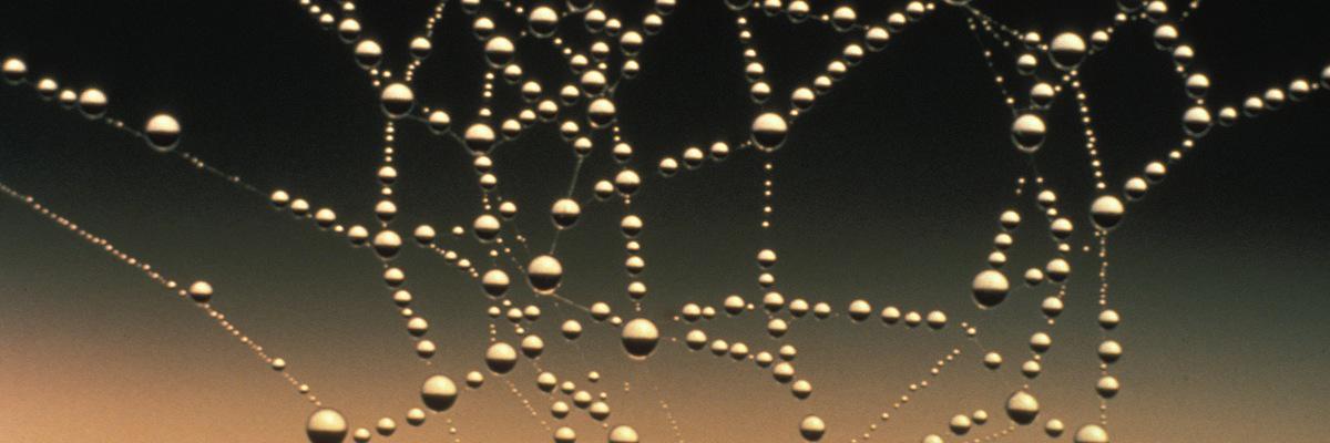 bkdatagirl's profile banner image