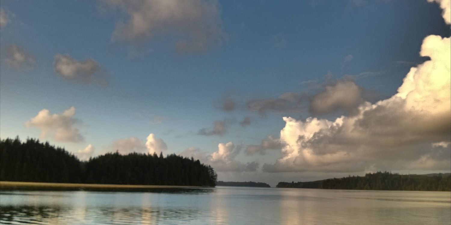 melva_ramsey's profile banner image