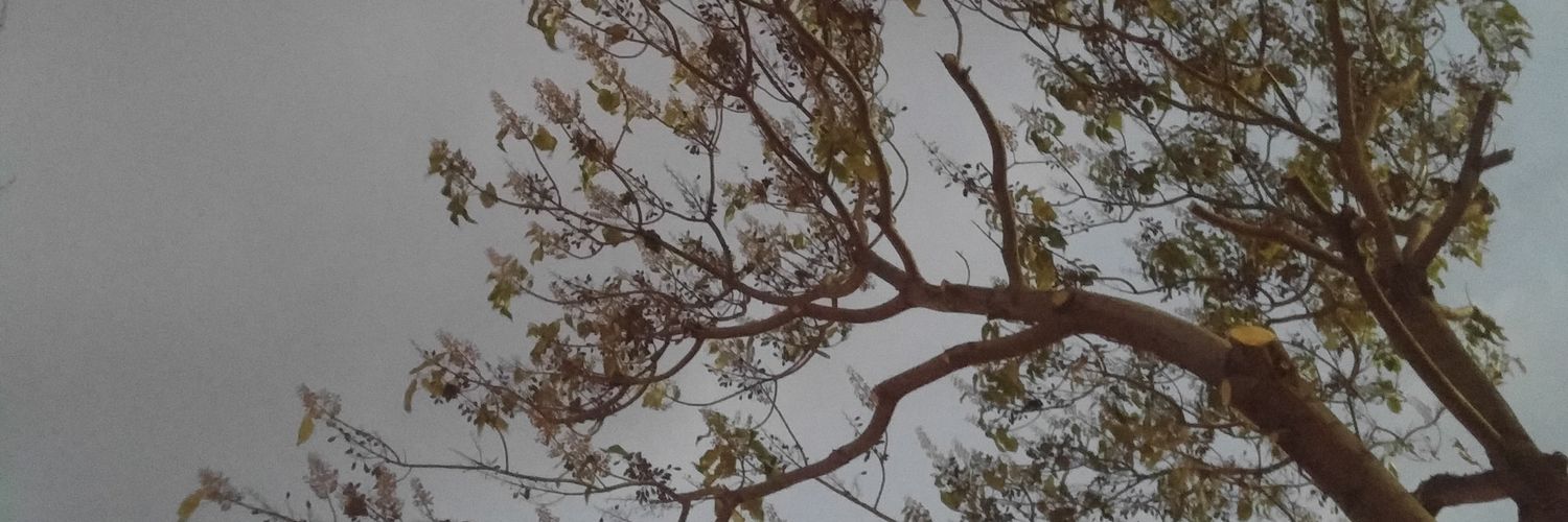 ZombieRosee's profile banner image