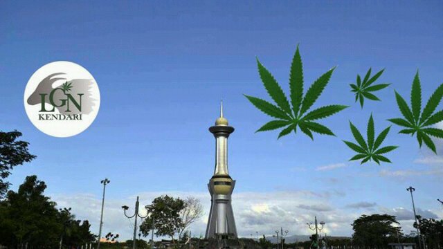 LGN_Kendari's profile banner image