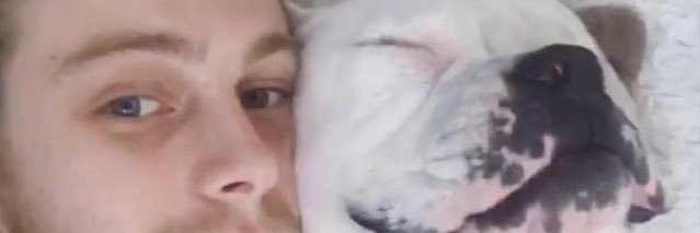 petuniawoof's profile banner image