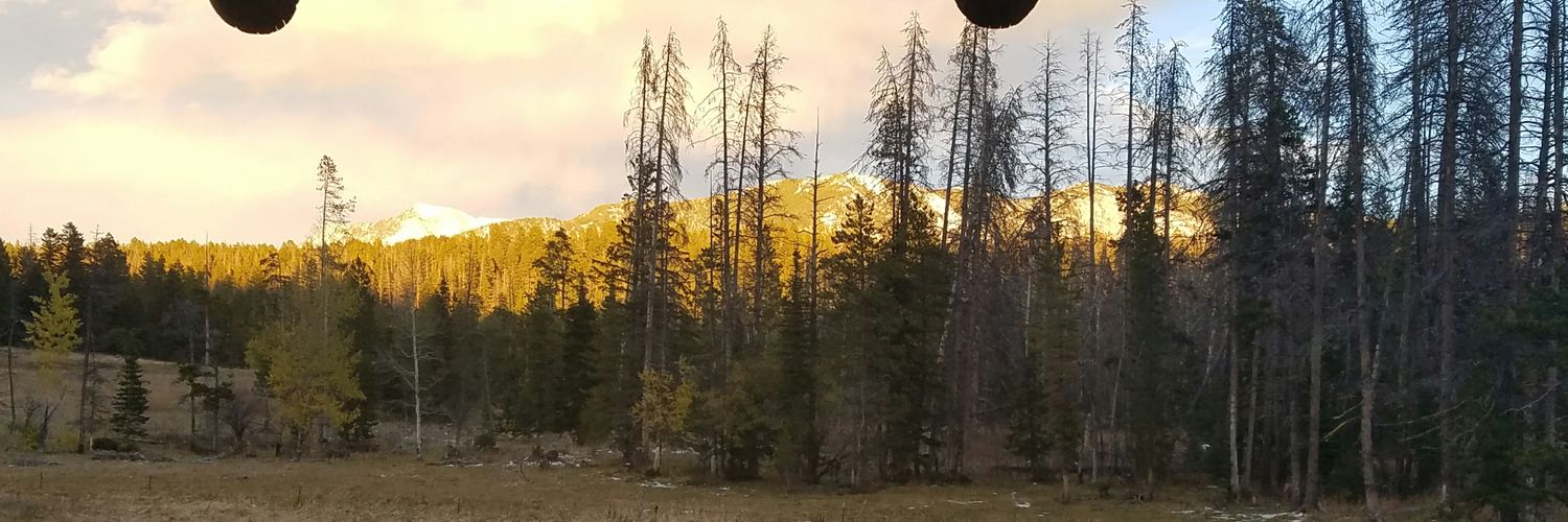 Pat_Klug's profile banner image
