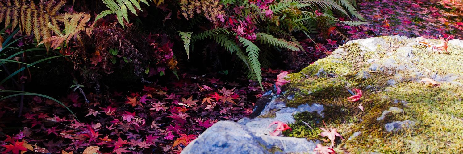 すずり🐏取引 banner