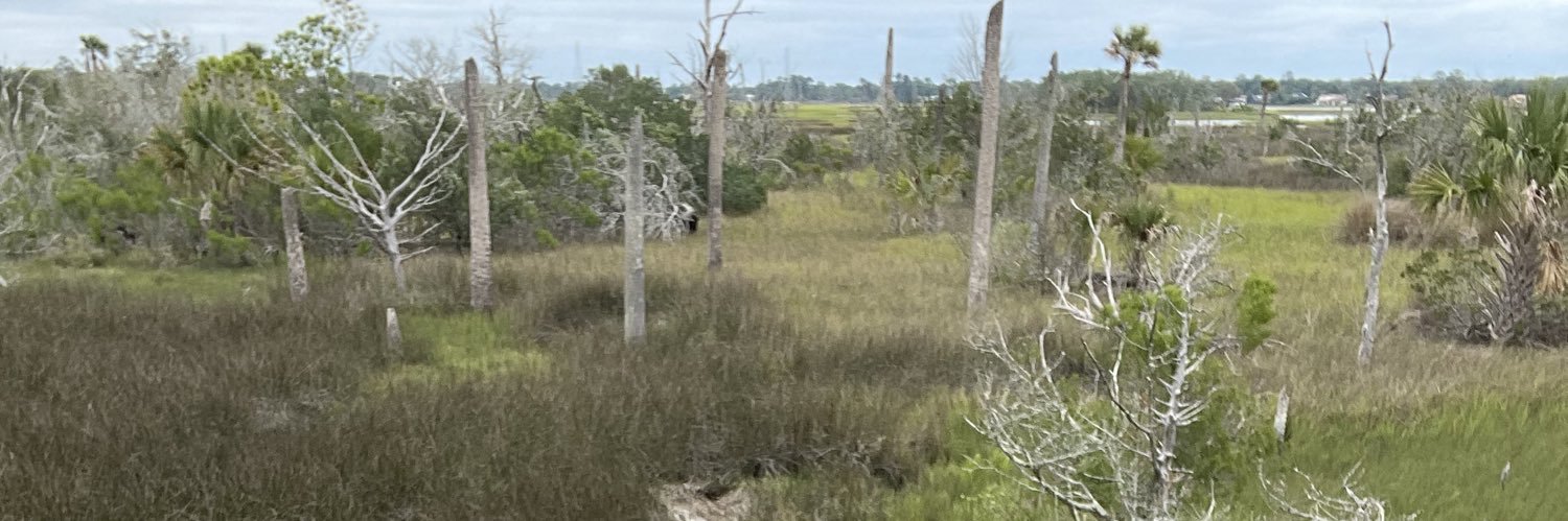 Chris Armstrong banner