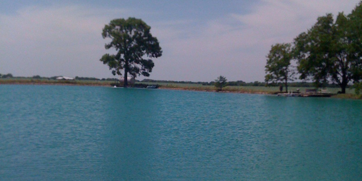 wducos's profile banner image