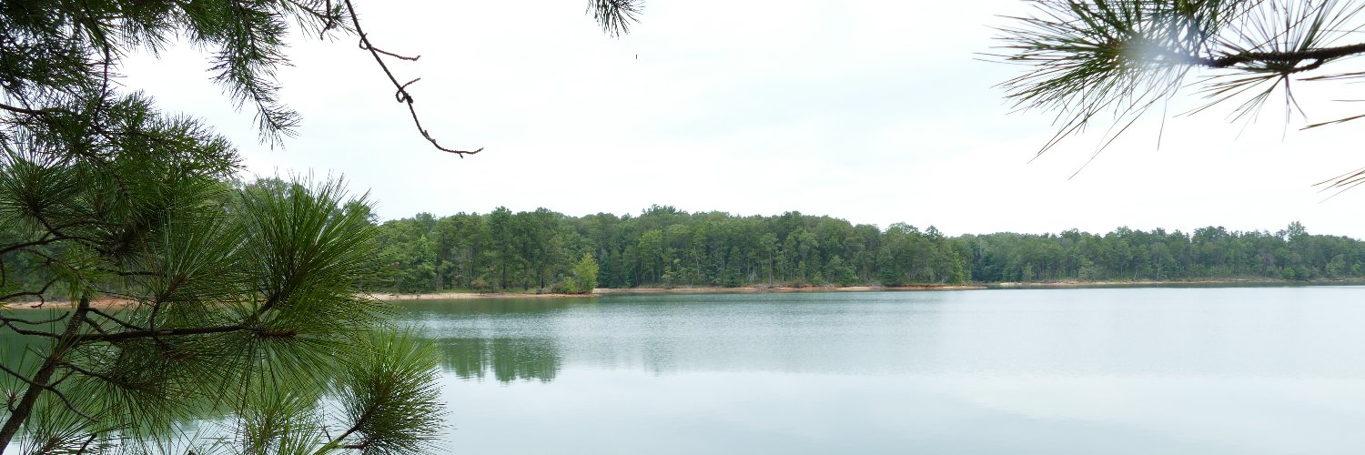NFinAlabama's profile banner image