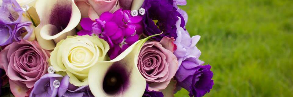 S_McPhotography's profile banner image