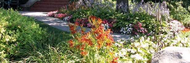 Port Jeff Library banner