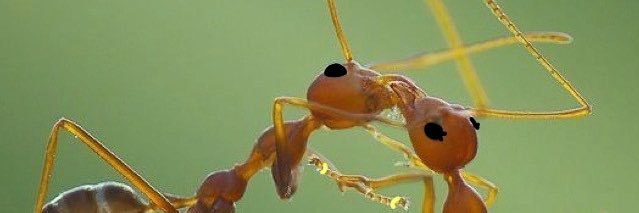 nononsensenope's profile banner image