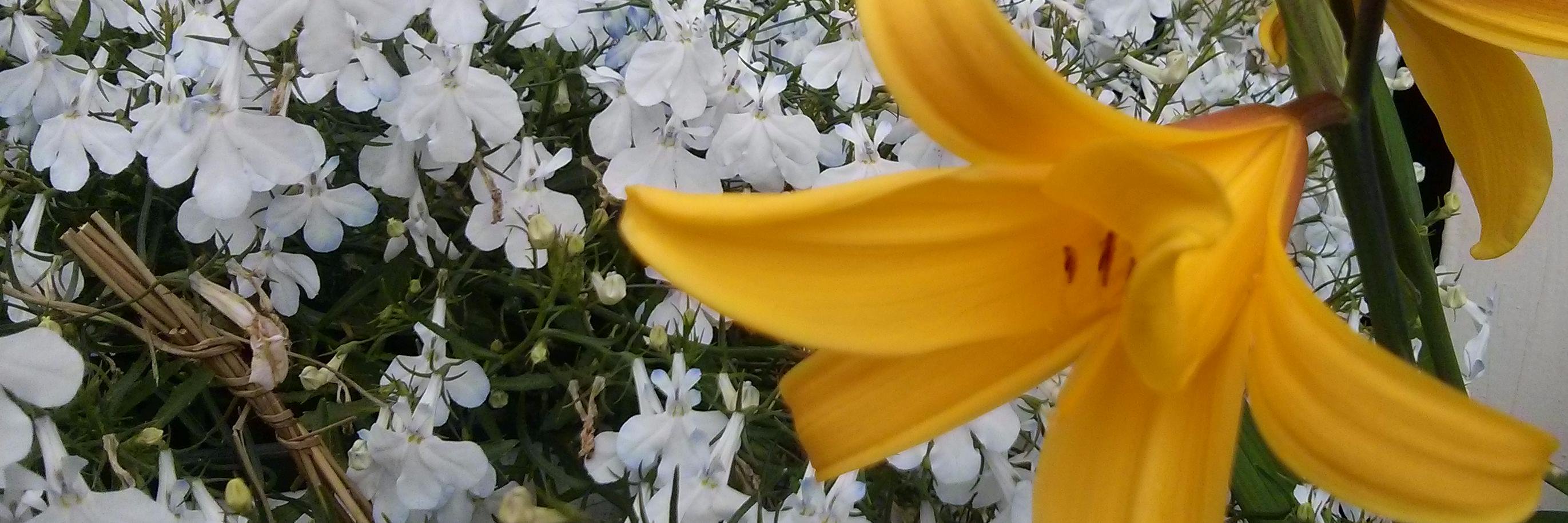 underleafdesign's profile banner image
