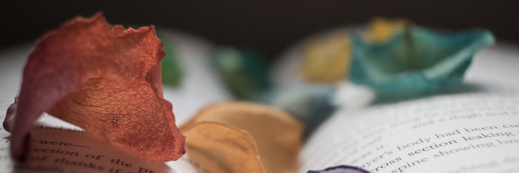 owlperspectiveM's profile banner image