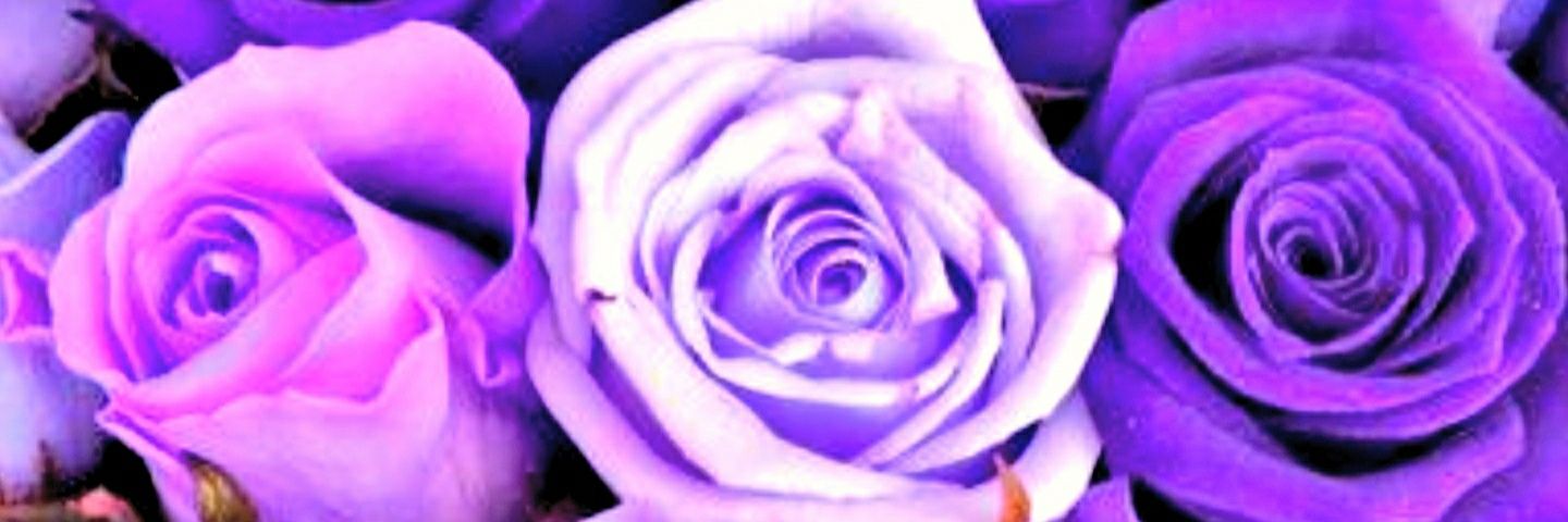 Tara DeFranco banner