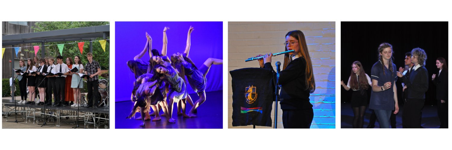 SWAPerformingArts banner