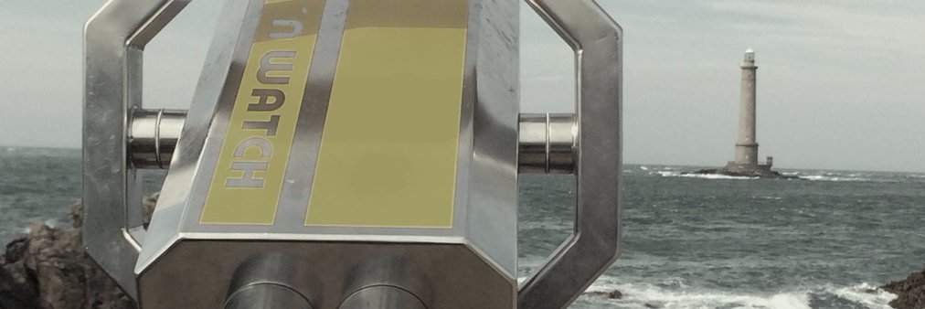 GERALDINE GONARD banner