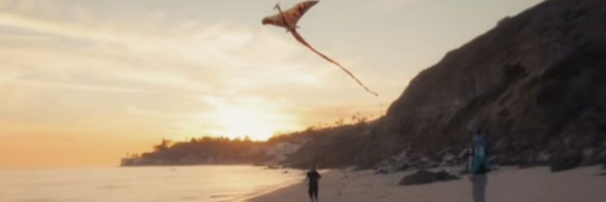 wallxoflwt's profile banner image