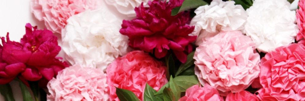juliamtrupp's profile banner image
