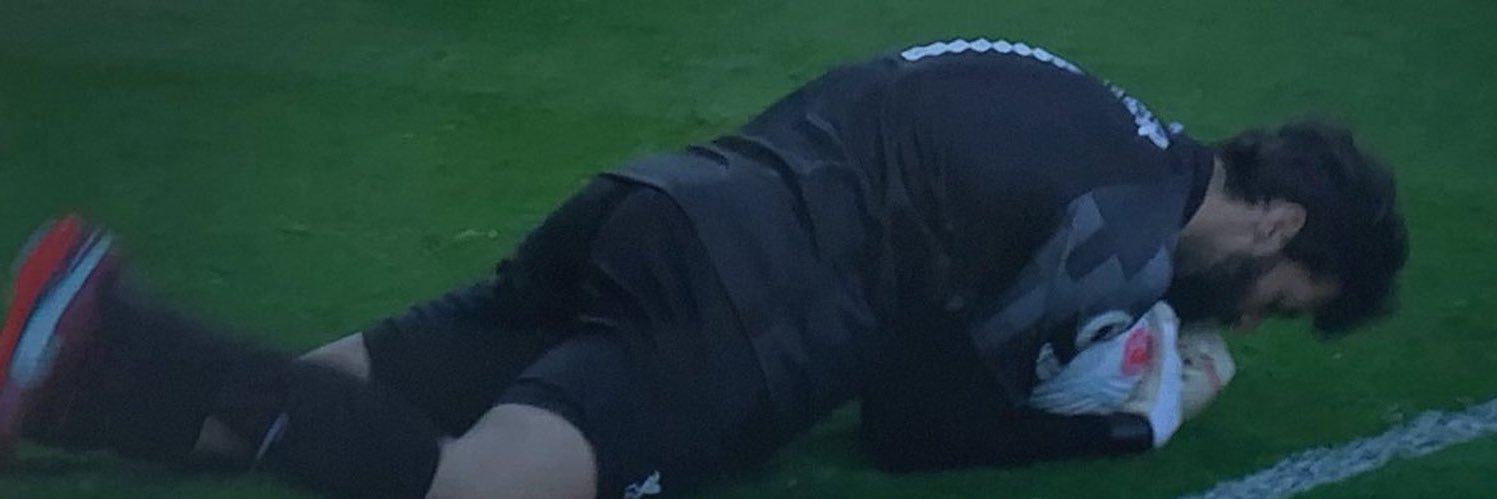 Harvey 🇩🇰 banner