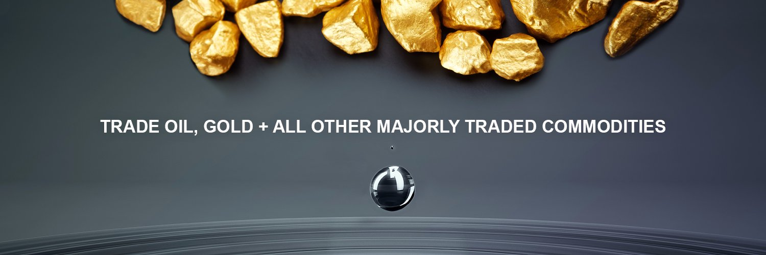 CurrencyHouseFX's profile banner image