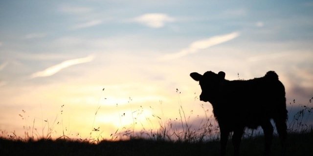 michellerieff's profile banner image