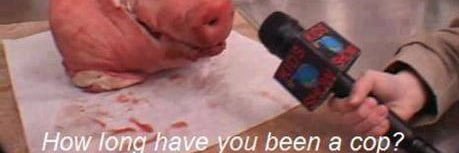 besidesws's profile banner image