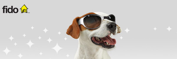 FidoKN's profile banner image
