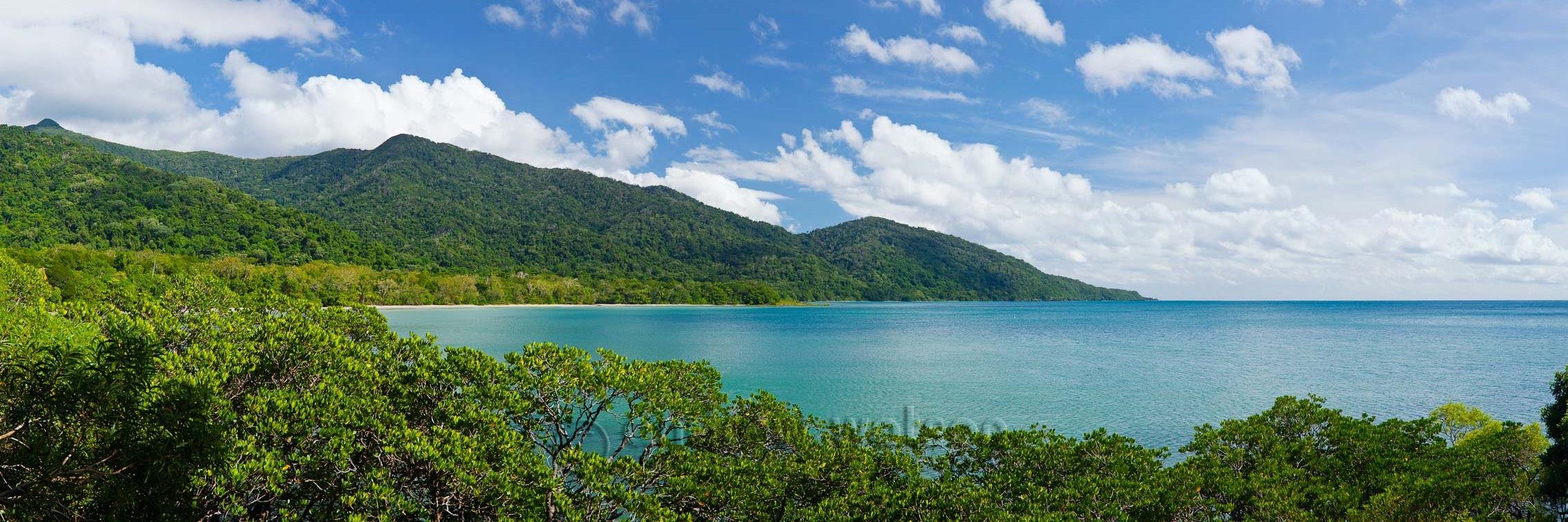 Matthew bell banner