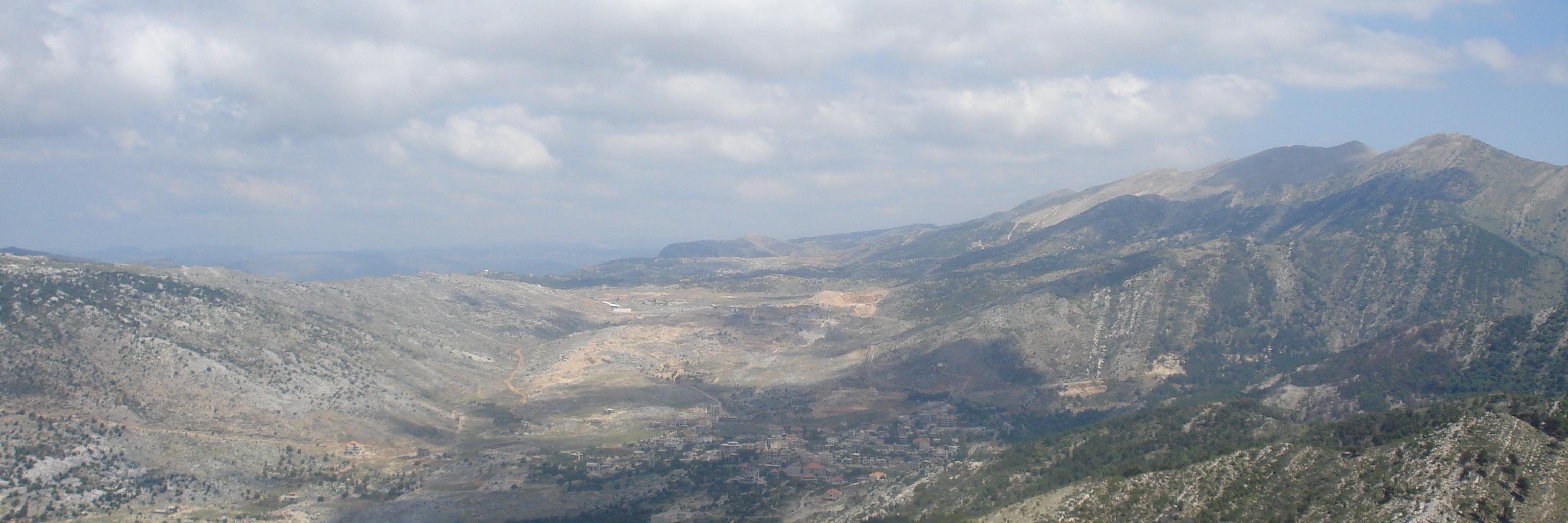 Kristine Ajrouch banner