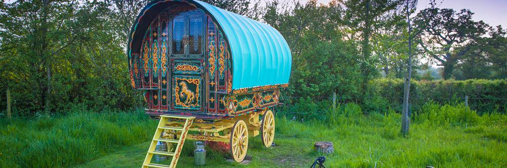 cryptogypsies's profile banner image