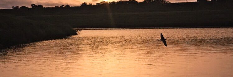 Dagi810's profile banner image