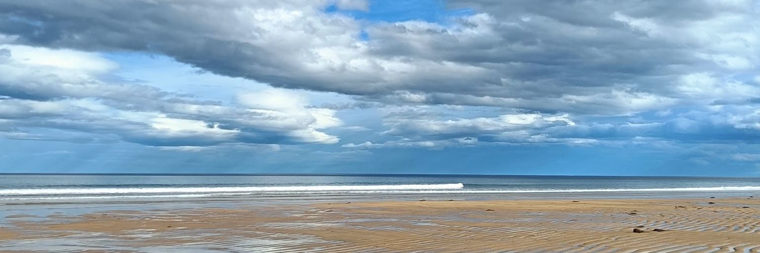 Accesibilidad del software banner